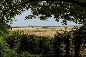 Photo 15- click for photo gallery